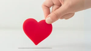 365日梅ライフセット　寄付活動報告／レビュー